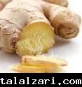 الزنجبيل Zingiber officinale