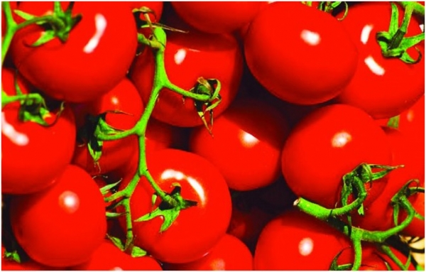 الأسبرين لعلاج الطماطم