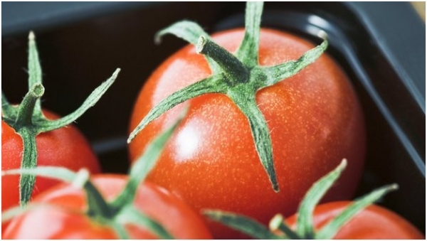"قرص الطماطم" يساعد في تقليل خطر الإصابة بأمراض القلب