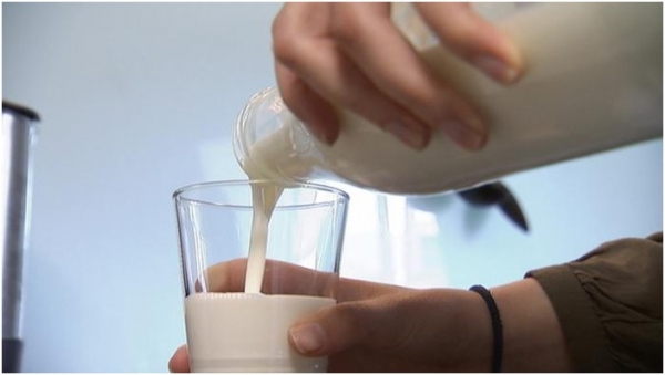 الحليب.. هل هو مغذ أم مضر بالصحة؟