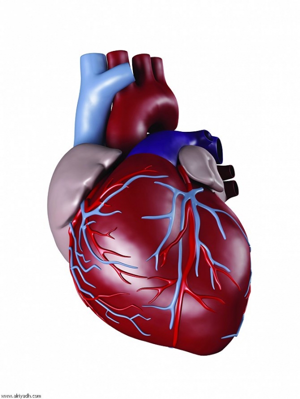 أمراض شرايين القلب التاجية