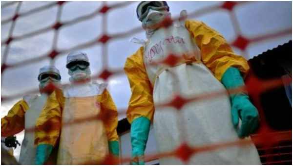 عشب طبي صيني ربما يصبح علاجاً لمكافحة إيبولا