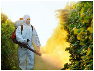 مبيدات زراعية معينة قد تسبب السرطان