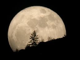 القمر الأعظم يغازل الأرض الليلة