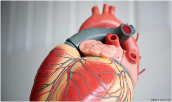 ألم الصدر قد يشير لخطر يهدد صحة القلب