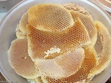 مناحل جازان تنتج عسل المانجو