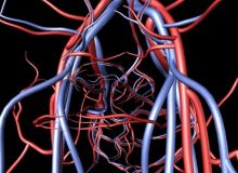 بقايا الشرايين المستخدمة في عمليات القلب قد تكون مصدراً للخلايا الجذعية