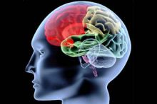 علماء يحاولون معرفة ما يدور في ذهن الإنسان بالمسح الإشعاعي