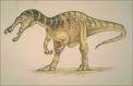 اكتشاف بقايا نوع جديد من الديناصورات بحجم الإنسان تقريباً