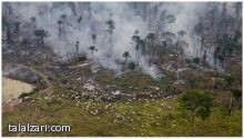 البرازيل: ارتفاع حاد في وتيرة إزالة غابات الأمازون