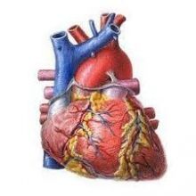 زيادة الكولسترول "الجيد" تقى مرضى السكر من نوبات القلب