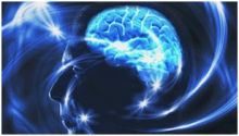 علماء أمريكيون يقتربون من تطوير أنظمة كمبيوتر تحاكي الدماغ