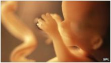 دراسة: ضعف نمو الجنين قد يدل على خطر الإجهاض