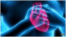 استخدام الخلايا الجذعية لعلاج آثار الأزمات القلبية
