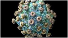مكتشفة فيروس HIV متفائلة بإيجاد علاج للأيدز