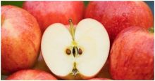 قشر التفاح ذخيرة حية للقضاء على البدانة