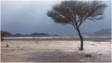 أمطار على مناطق شمال السعودية لم تشهدها منذ عقود