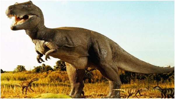 هكذا كان يمشي ديناصور السعودية قبل 72 مليون سنة