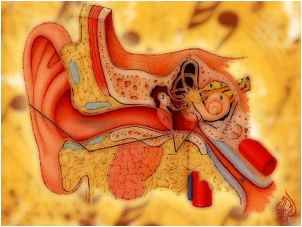 التهاب الأذن الوسطى.. يختلف عن أذن السباح