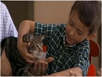 تكريم «قطة» أنقذت طفلا من هجوم «كلب»