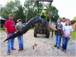 اصطياد أكبر تمساح في العالم في ألاباما