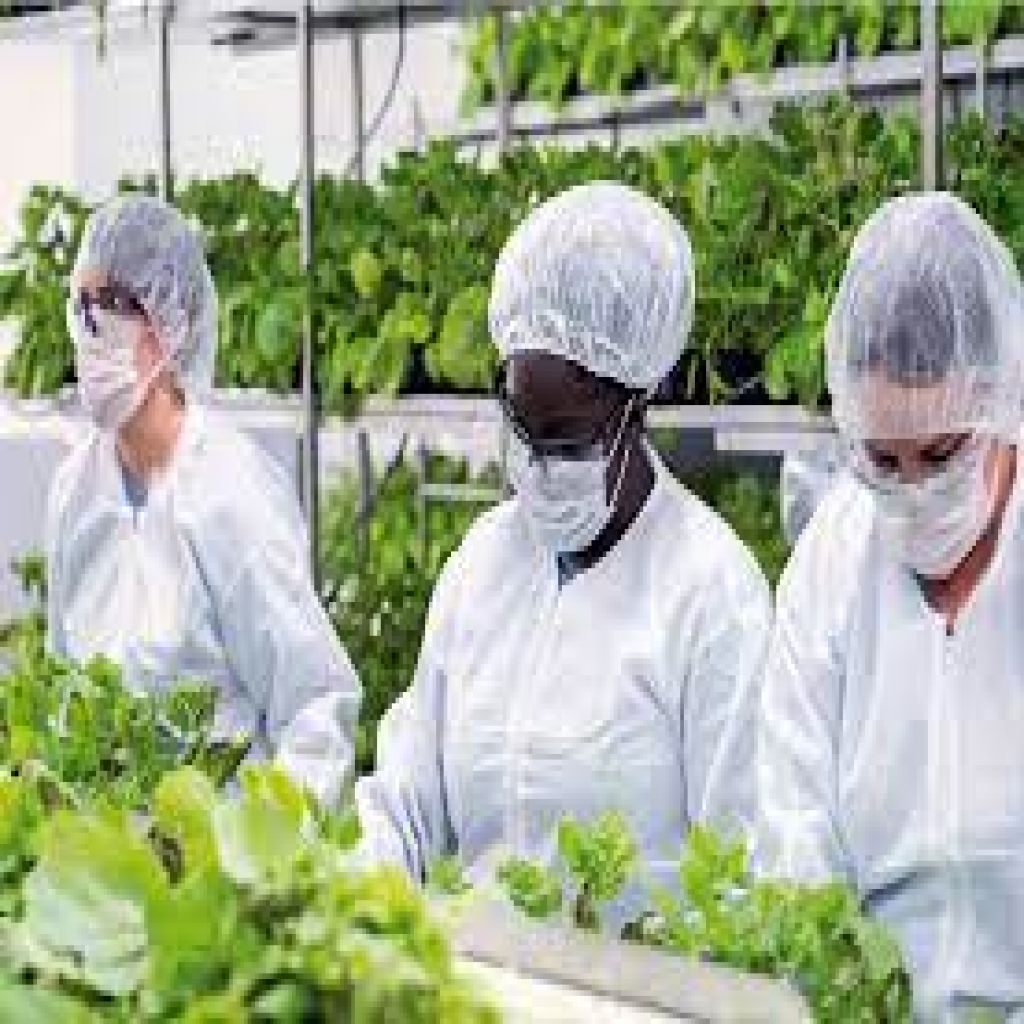 كندا تسمح بتداول لقاح نباتي مضاد لكورونا