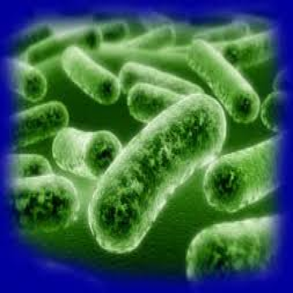 طرق طبيعية لزيادة البكتيريا الجيدة في الأمعاء