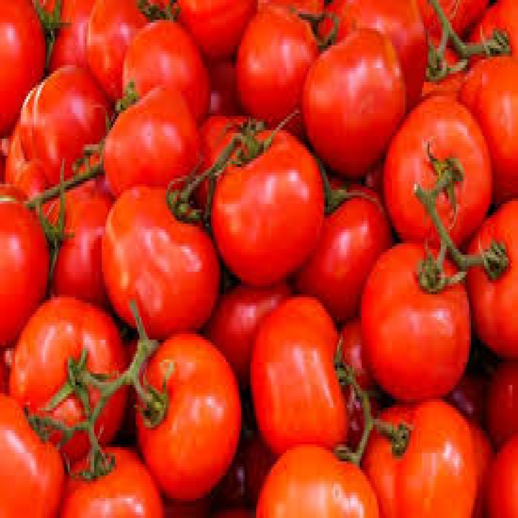 أهمية تناول الطماطم لتعزيز صحة المخ
