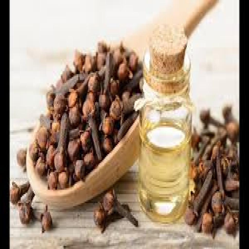 فوائد القرنفل وأضراره المحتملة