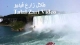 فيديو  طلال زارع  Talal Zari
