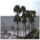 شاطئ أحد منتجعات تامبا، فلوريدا Tampa, Florida - يناير 2013 